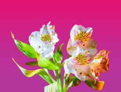 Gardening Projects Help Children Flower