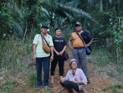 Kejanggalan Proses Hukum Kasus 34 Tandan Sawit di Sanggau: Warga Pertanyakan Objektivitas Penegakan Hukum