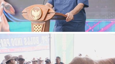 Ketua MPR: Pemerintah Berkomitmen Tingkatkan Kesejahteraan Peternak dan Petani Indonesia.