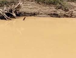 Lapor Pak Kapolda !!! Di Kab.Sintang Kalbar Di Duga Ada Aktivitas PETI Air Jadi Kotor Kami Tidak Bisa Mandi