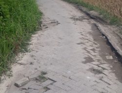 Jalan Rusak Di Kp. Salimah Tak Kunjung Di Perbaiki, Warga Geram Terhadap Kades Sukamanah