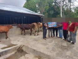 Terkait Dana Anggaran Ketahanan Pangan Jenis Peternakan Lembu, Senilai Rp.73 Juta Rupiah Dan Rp.96 Juta Rupiah.