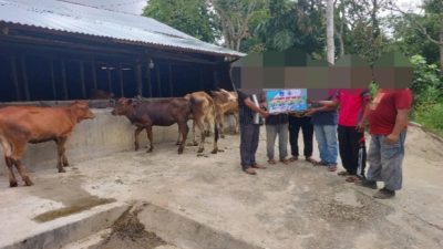 Terkait Dana Anggaran Ketahanan Pangan Jenis Peternakan Lembu, Senilai Rp.73 Juta Rupiah Dan Rp.96 Juta Rupiah.