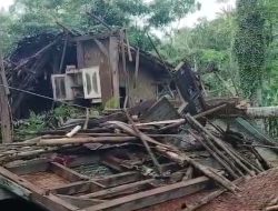 Rumah Warga Di Cimanggu Roboh Tertimpa Pohon Kelapa, Tim GWI Turun Tangan