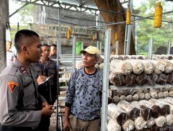 Live In’ : Siswa Diktukba SPN Polda Jatim Edukasi Budidaya Bandeng dan Jamur di Gresik