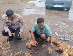 Unit Bhabinkamtibmas Laksanakan Giat Sambang Pedagang Kelapa di Pasar Babakan Dalam Rangka Implementasi Program Jaga Jakarta