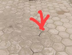 Diduga Hasil Pekerjaan Proyek Pemasangan Paving Blok, Di SDS Bukit Panjang 1 Kecamatan Manyak Payed.
