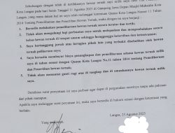 Diduga Lakukan Surat Pernyataan Kepada Pemilik Ternak Lembu, “Khalidin” Warga Sungai Pauh, Disinyalir Berujung-Ujungnya, Pihak Sat-Pol- Pp Pemko Langsa