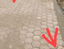 Terkait Pemberitaan Miring, Proyek Pekerjaan Pemasangan Paving Blok, Di SDS Bukit Panjang 1 Kecamatan Manyak Payed.