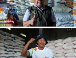 Kebijakan Presiden RI Pupuk  Murah, Petani Gembira Hasil Panen Melimpah.