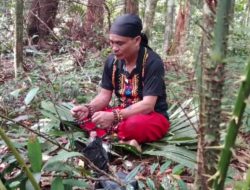 Budaya dan Adat, Perekat Utama Persatuan Suku Dayak di Tengah Arus Modernisasi