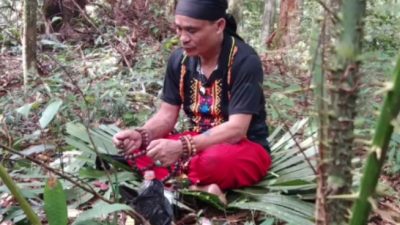 Budaya dan Adat, Perekat Utama Persatuan Suku Dayak di Tengah Arus Modernisasi