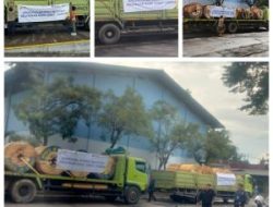 PT JEMBO CABLE COMPANY Bersama PLN Pulihkan Listrik di Wilayah Terdampak Bencana Aceh, Sumut, dan Sumbar