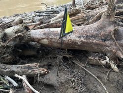 Tim K.9, Ditpolsatwa Baharkam Polri, Bantu Pencarian Korban Bencana, Di Bantaran Sungai Huta Raja.