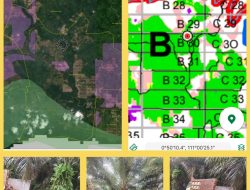 Warga Desa Lubuk Tapang Geram, PT HPI Diduga Libatkan Oknum Keamanan dan Tetap Panen Selama Seminggu di Lahan Bersengketa