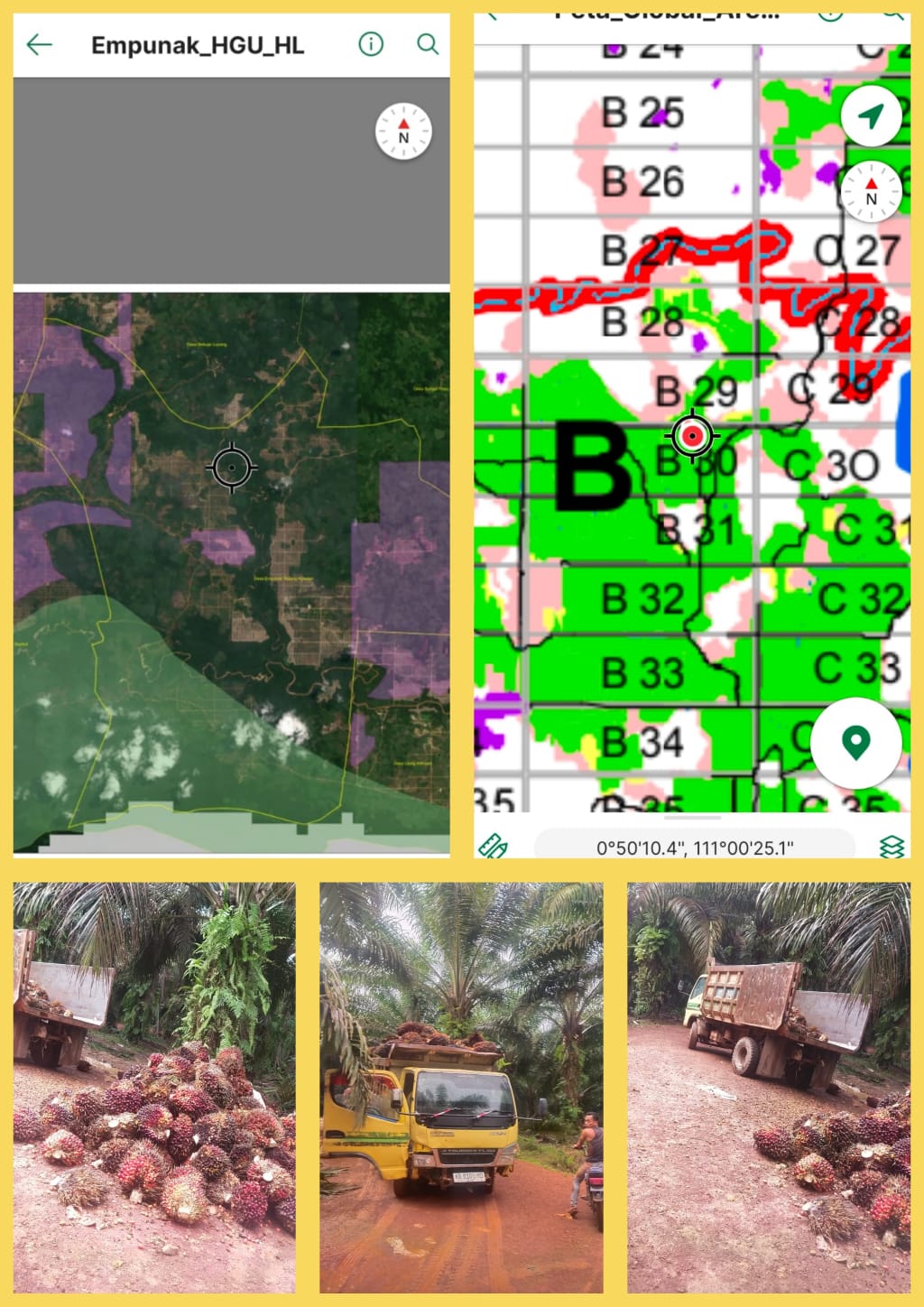 Warga Desa Lubuk Tapang Geram, PT HPI Diduga Libatkan Oknum Keamanan dan Tetap Panen Selama Seminggu di Lahan Bersengketa