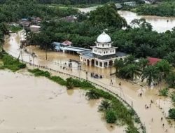 Prof Dr Sutan Nasional, Minta Presiden RI, Perintahkan Berbagai Elemen Atasi Musibah Dan Kelaparan, Di Aceh Sumut 2025.