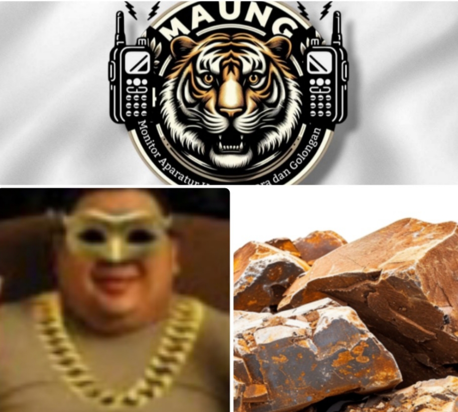 DPP MAUNG : Cukong Bauksit AS Akhirnya Masuk Jaring Penyidikan Kejagung!