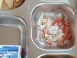 “Anggaran Besar, Menu Tipis? Program MGG Sukaresmi Disorot: Siswa Diduga Hanya Dapat Kulit Ayam Tipis Dan Sayuran Iris “