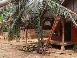 Rumah Warga Batu Hideng Cimanggu Rusak Parah Tertimpa Pohon Kelapa