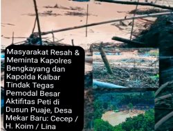 Masyarakat Meminta Kapolres dan Kapolda Tangkap dan Tindak Cecep CS Pemodal Utama PETI di Dusun Puaje, Desa Mekar Baru, Bengkayang