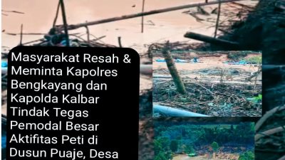 Masyarakat Meminta Kapolres dan Kapolda Tangkap dan Tindak Cecep CS Pemodal Utama PETI di Dusun Puaje, Desa Mekar Baru, Bengkayang