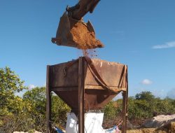 Prof Dr Sutan Nasomal SH MH, Minta Presiden Prabowo Subianto,.Perintahkan Menteri Bersama Polri Dan TNI, Brangus Tambah Di Singkep Riau.