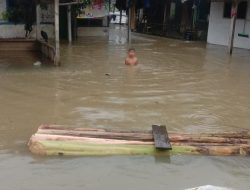 Banjir Yang Berulang, Nurani Yang Di Uji, Catatan Dari Patia, Untuk Presiden RI Ke-8, Prabowo Subianto.