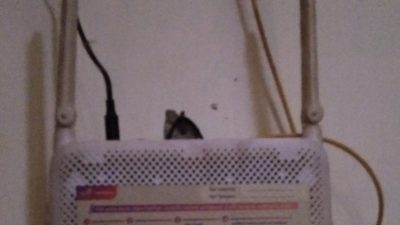 Setelah Usainya Pasca Bencana Alam Banjir Bandang, Pihak Grapari Telkomsel Cabang Kota Langsa.