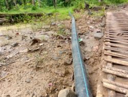 Program Yang Dilaksanakan Oleh Gapoktan Desa Cihanjuang Diduga Tak Transparan–Tim Investigasi GWI: Jangan Ada Kolaborasi Busuk !!