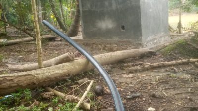 Program Gapoktan Desa Cihanjuang Diduga Tak Transparan, GWI Pandeglang Soroti Pelaksanaan dan Hasil Monev