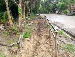 Program Pertanian Desa Cihanjuang Disorot, Diduga Asal Jadi dan Langgar UU Keterbukaan Informasi Publik