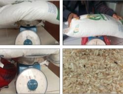 GWI Soroti Dugaan Buruknya Kualitas Beras Bulog Montor