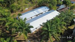 BUMN Terus Bangun Rumah Sementara di Aceh Timur, Progres Capai 97%.