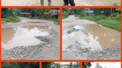 Jalan Raya Monterado–Desa Siaga Rusak Parah, Warga Nilai Pemerintah Terkesan Tutup Mata