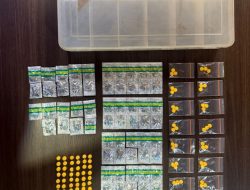 Sat Resnarkoba Polres Tangerang Selatan Ungkap Kasus Penyalahgunaan Obat Daftar G dan Psikotropika