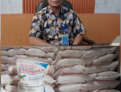 Tambahan Jatah Pupuk Subsidi Disiapkan untuk Petani Lombok Timur