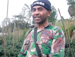 Petani NTT Bersyukur, 3.000 Pohon Buncis Terserap Semua Berkat MBG.