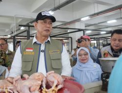 Pemerintah Sidak Pasar Sepekan Terakhir, Harga Daging Hingga Cabai Terpantau Turun.