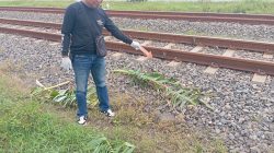 Seorang Lansia di Kedungtuban Tewas Tertemper Kereta Api Ambarawa Ekspres