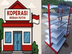 Proyek Ratusan Miliar Rak KDMP Disorot: Kantor Perusahaan Tak Beroperasi, Gudang Militer Dipakai, Dugaan Pelanggaran TKDN Mencuat